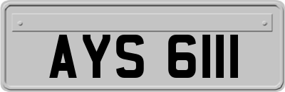 AYS6111