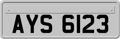 AYS6123