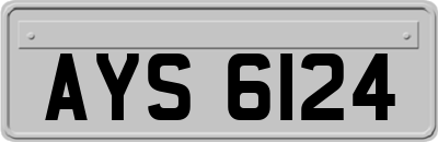 AYS6124