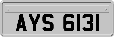 AYS6131