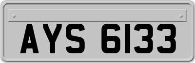 AYS6133