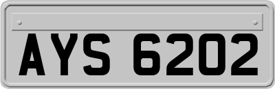 AYS6202