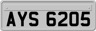 AYS6205
