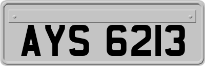 AYS6213