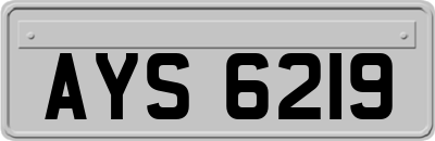 AYS6219