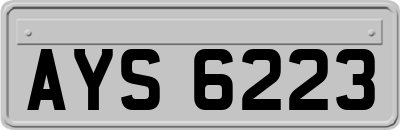 AYS6223
