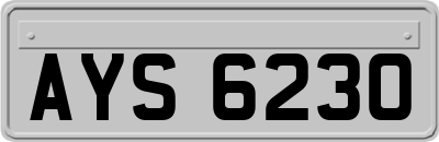 AYS6230