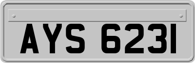 AYS6231