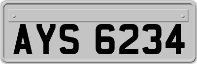 AYS6234