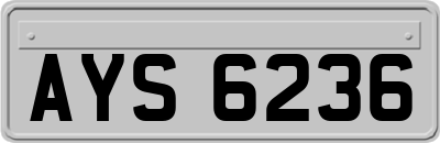 AYS6236