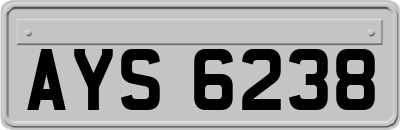 AYS6238