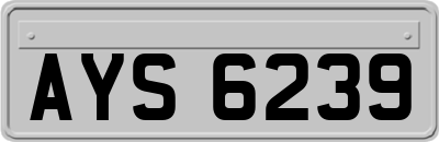AYS6239