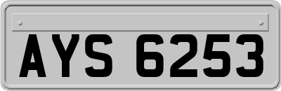 AYS6253