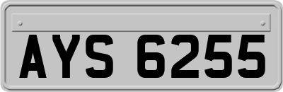 AYS6255