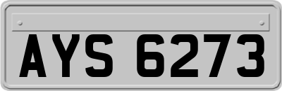 AYS6273