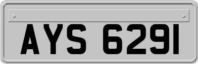 AYS6291