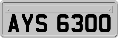 AYS6300
