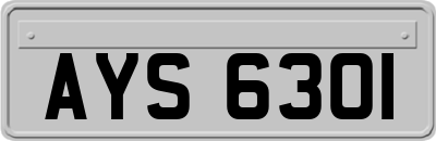 AYS6301