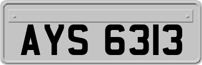 AYS6313