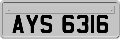 AYS6316