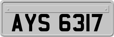 AYS6317