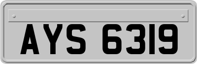 AYS6319
