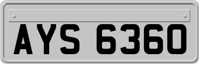 AYS6360