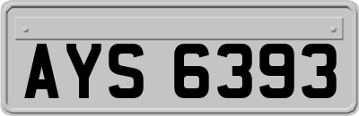 AYS6393