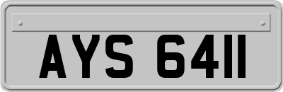 AYS6411