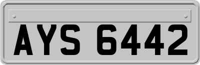AYS6442