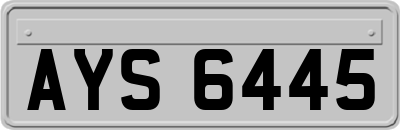 AYS6445