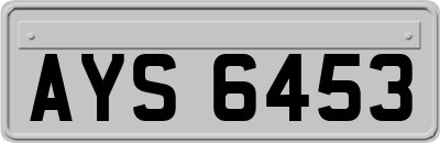 AYS6453