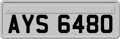 AYS6480