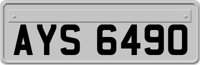 AYS6490