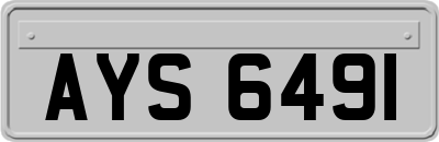 AYS6491
