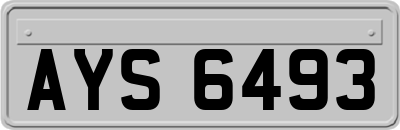 AYS6493