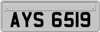 AYS6519