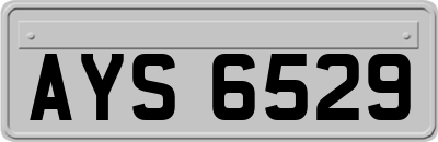 AYS6529