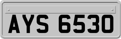 AYS6530
