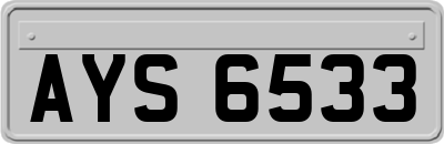 AYS6533