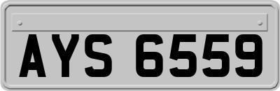 AYS6559