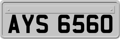 AYS6560