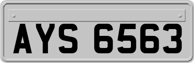 AYS6563