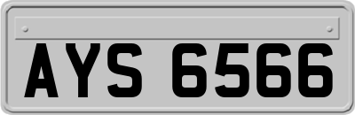 AYS6566