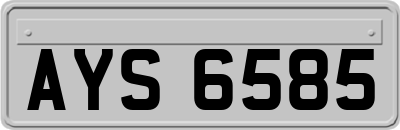 AYS6585
