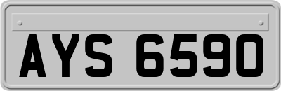 AYS6590