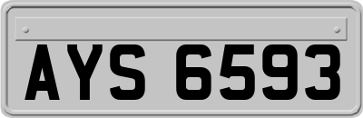 AYS6593