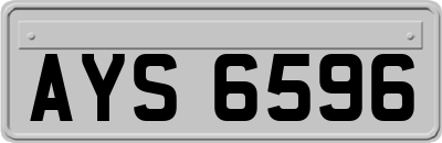 AYS6596