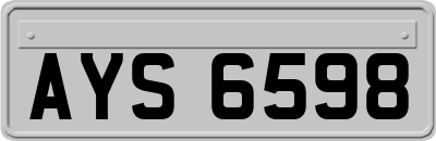 AYS6598