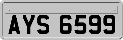 AYS6599